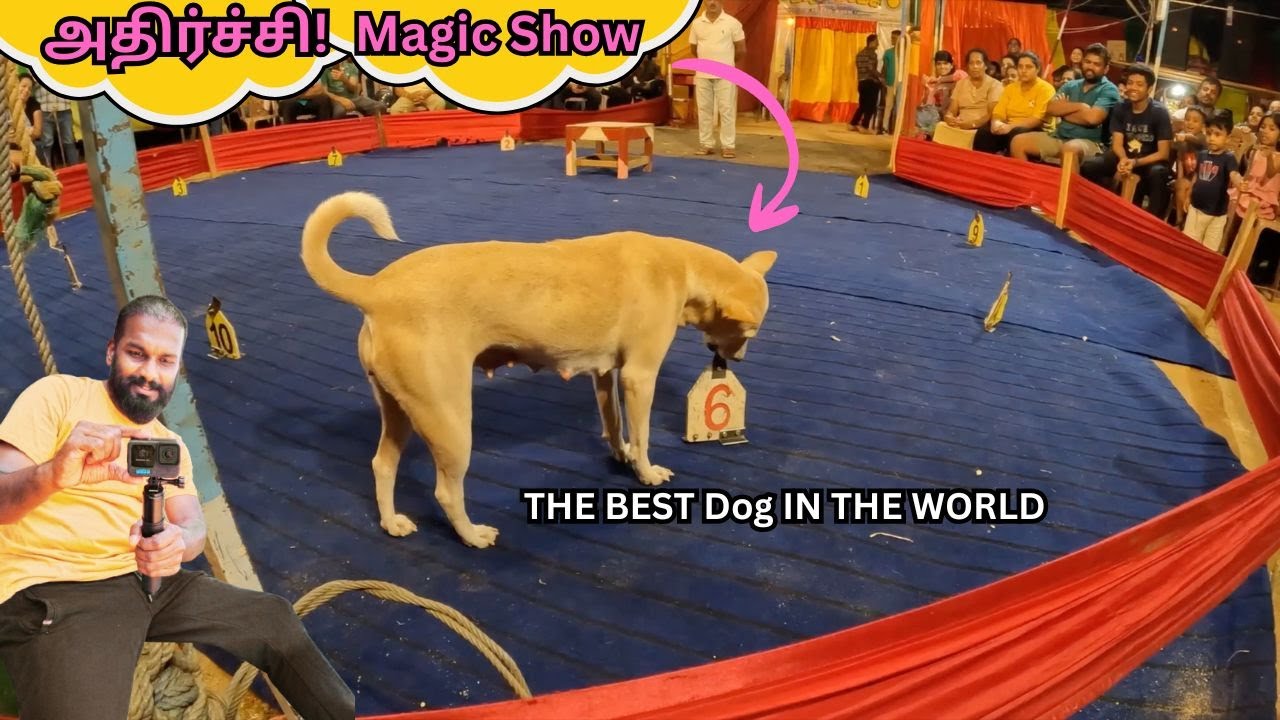 “Village Magic Show in Matale 🐕 | World’s Smartest Dog Tricks 🤯 | Amazing Sri Lanka Tamil Vlog”