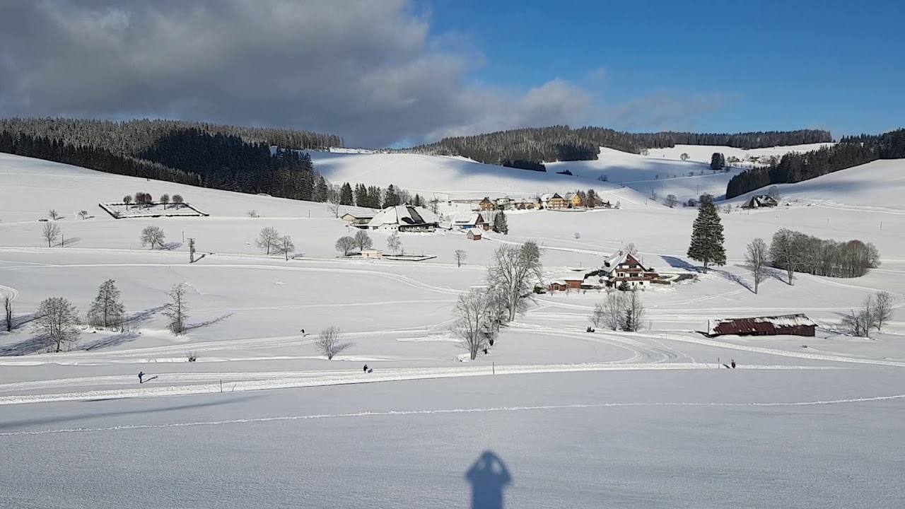Winter 2021 Schwarzwald Titisee Neustadt Waldau