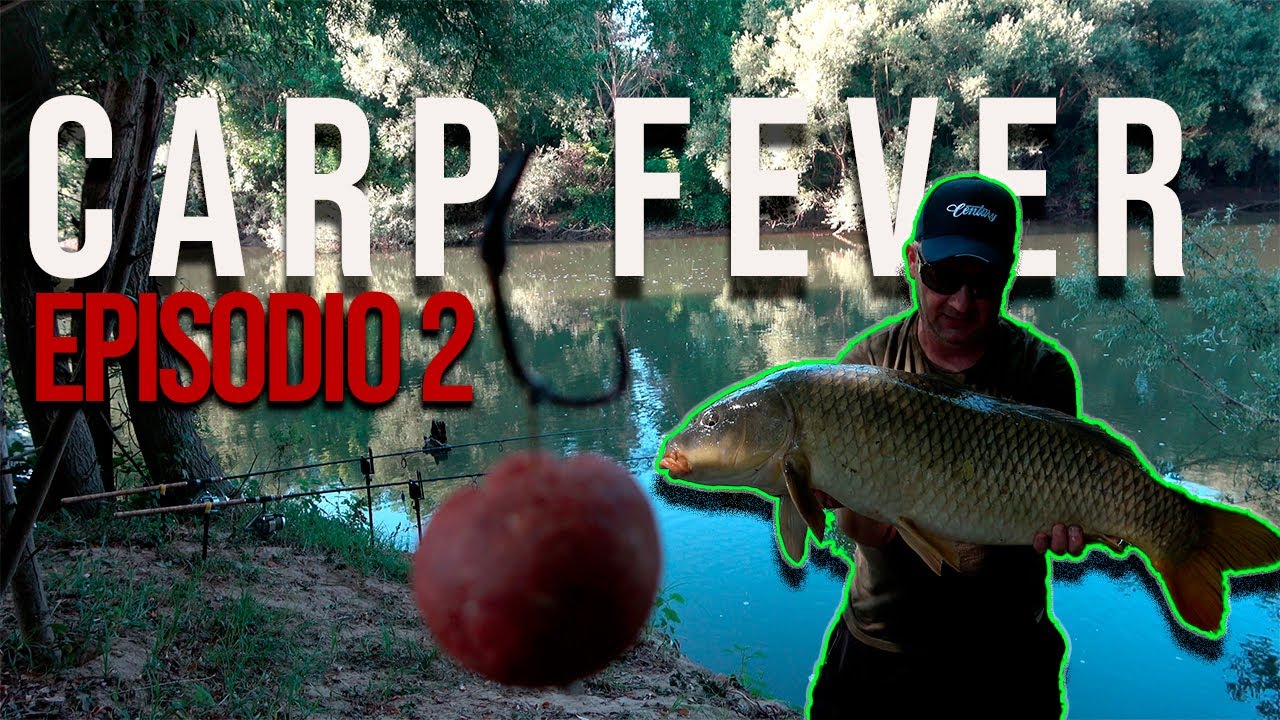 CARP FISHING  IN FIUME  carp fever episodio 2