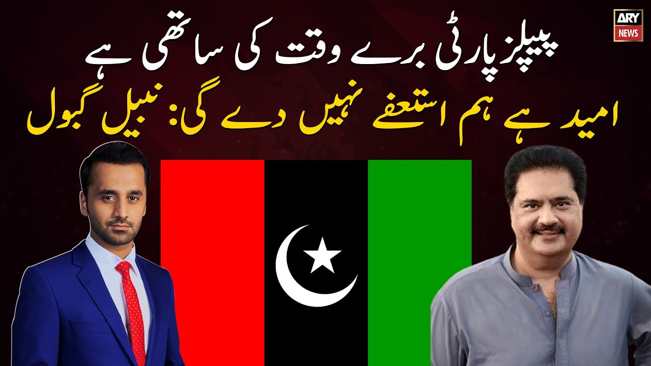 I think PPP will not resign in the future: Nabil Gabol