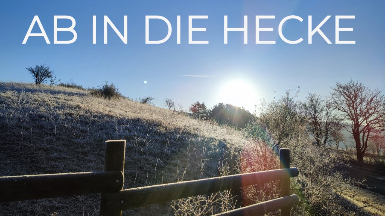 AB IN DIE HECKE
