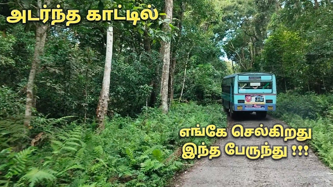 மலை கிராமங்களின் மெட்ரோ ரயில் !!! அடர்ந்த காட்டில் எங்கே செல்கிறது இந்த பேருந்து !!!  Western ghats