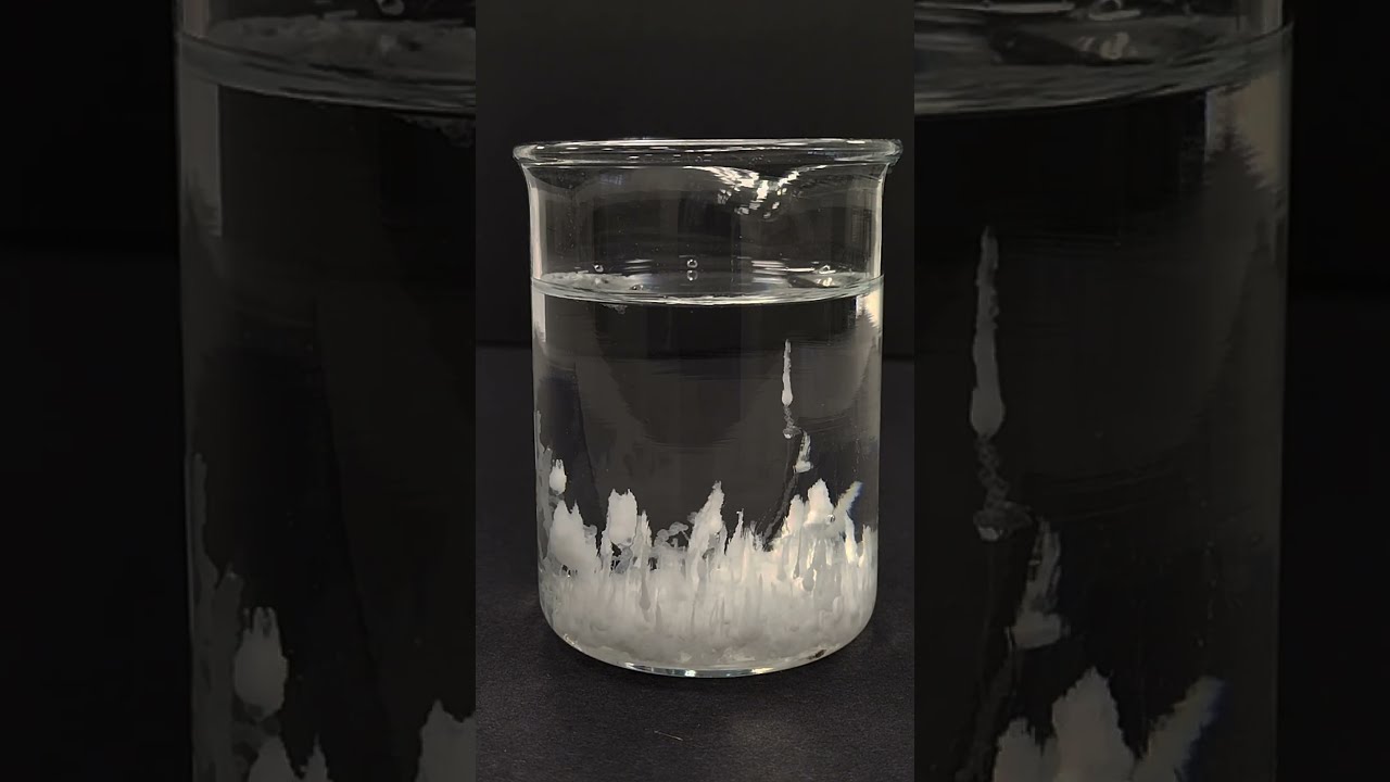 Stalagmite Crystal Garden Experiment