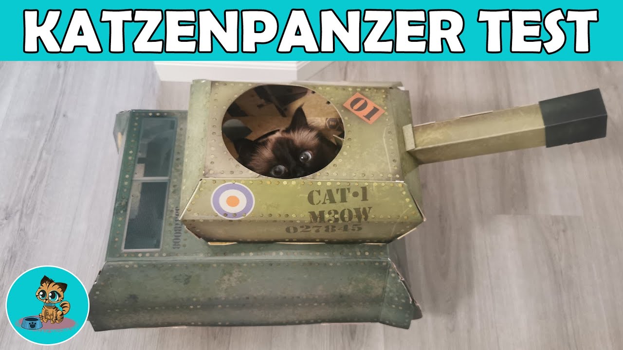 PANZER für Katzen ?! Lustiges Amazon Gadget im Test! ✅