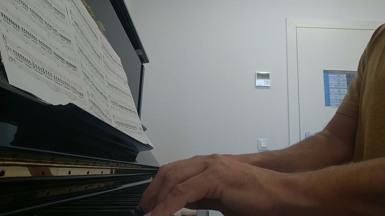 The Last Man on Earth/Wolf Alice/solo piano accompaniment (no voice)/Cover by Koko de Murga