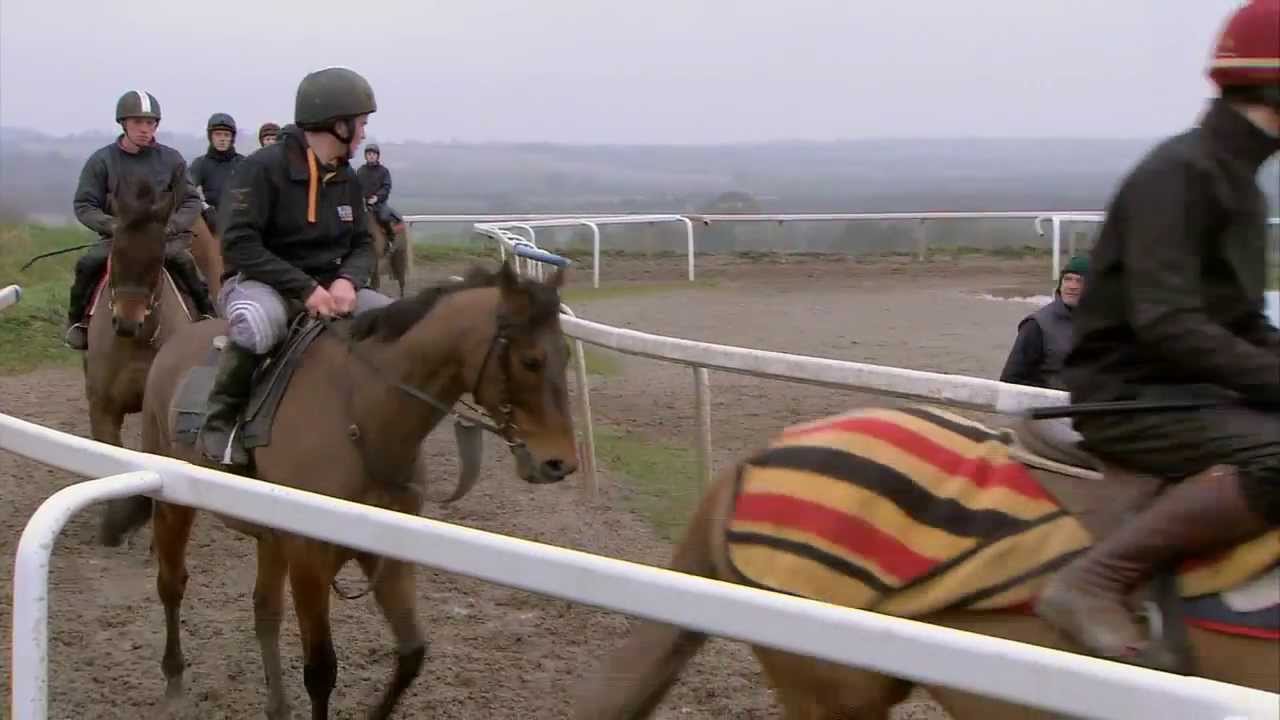 Tony Martin Cheltenham Contenders 2014
