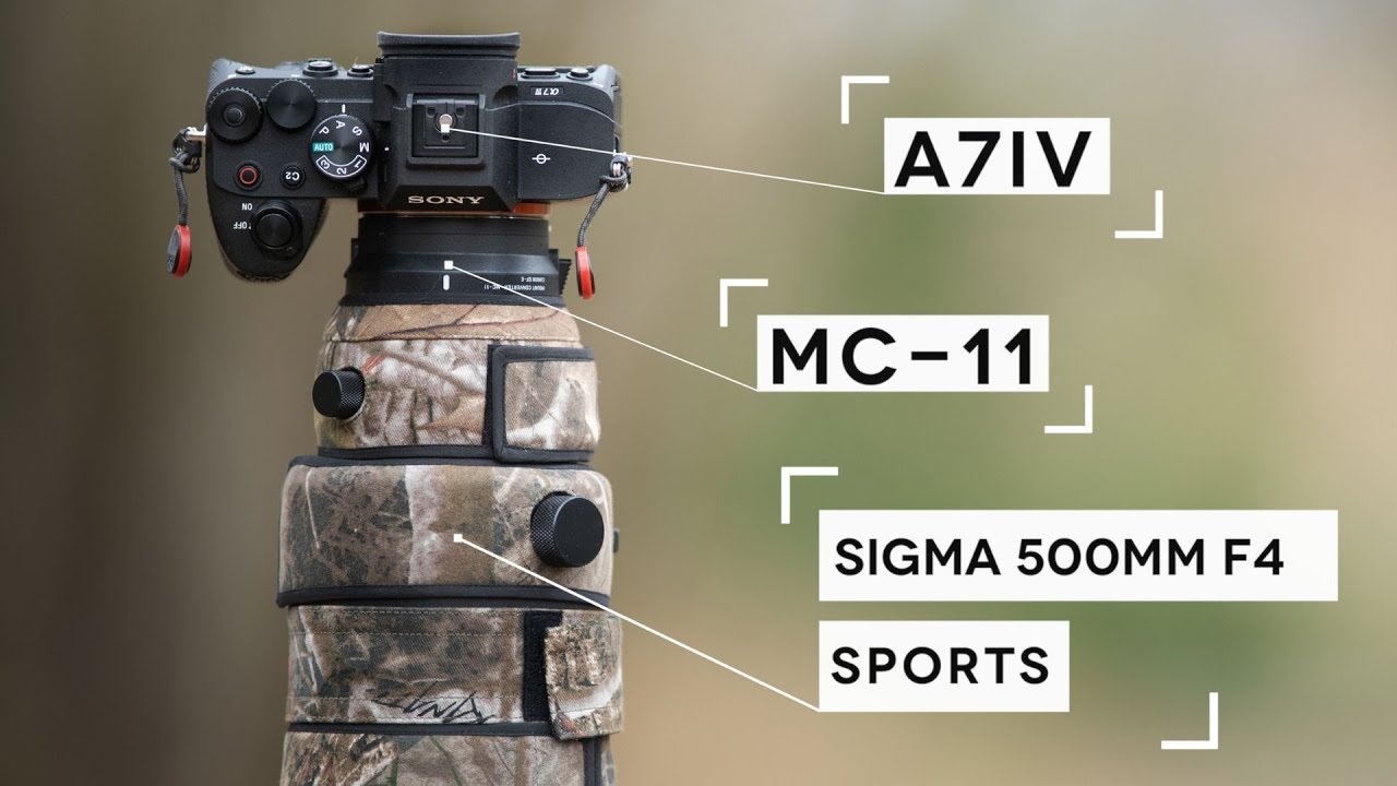 Sigma 500mm F4 Sports + адаптер MC11 = ВЫГОДНОЕ предложение для владельцев камер SONY?