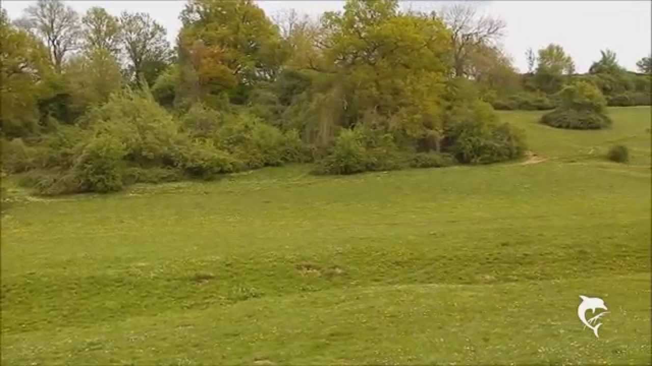 Walking series - Around Baneheide #2