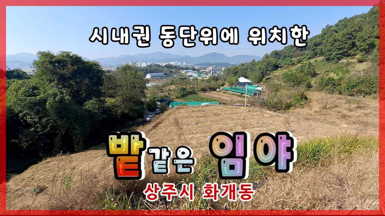상주시 화개동(매매13335)_시내권 밭같은 임야 #상주시 #상주임야 #상주토지 #상주전답 #상주부동산 #상주시부동산  #희망랜드 #희망공인중개사 #문경부동산 #상주ic