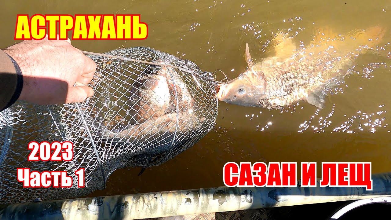 Астрахань 2023 / Сазан и лещ / Мумра /часть 1