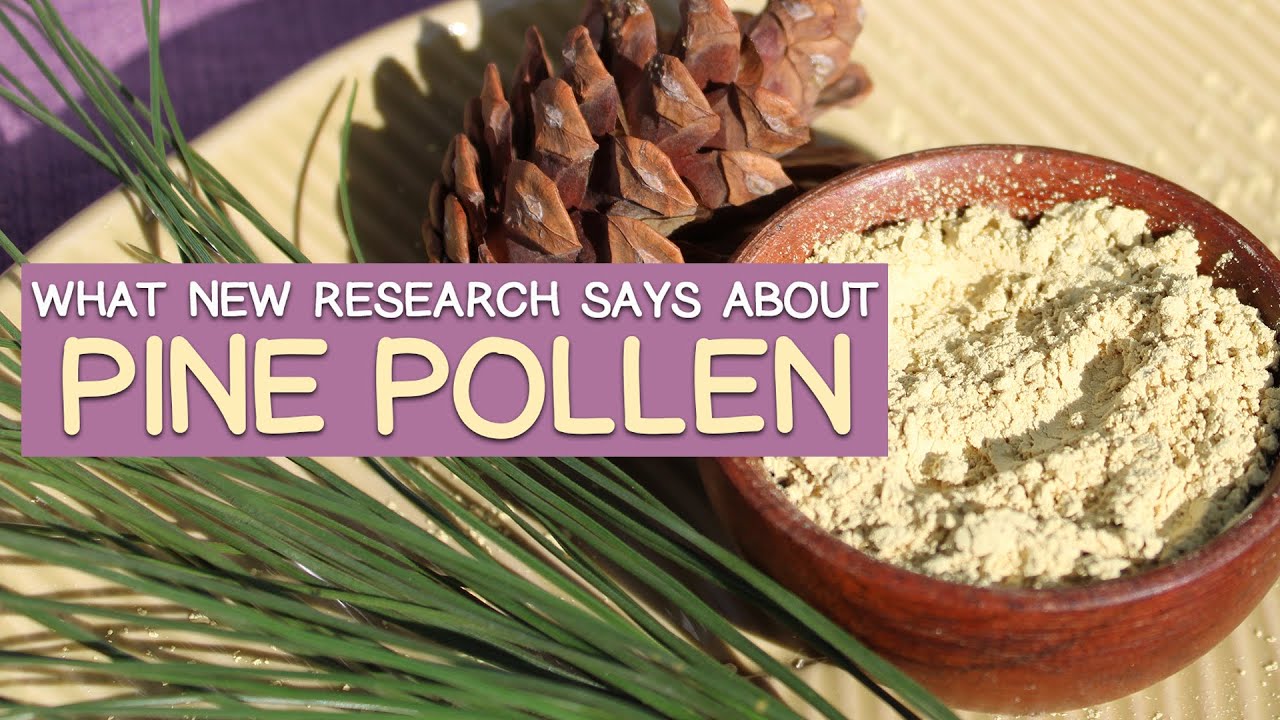 Benefits of PINE POLLEN for MEN - What New Research Says