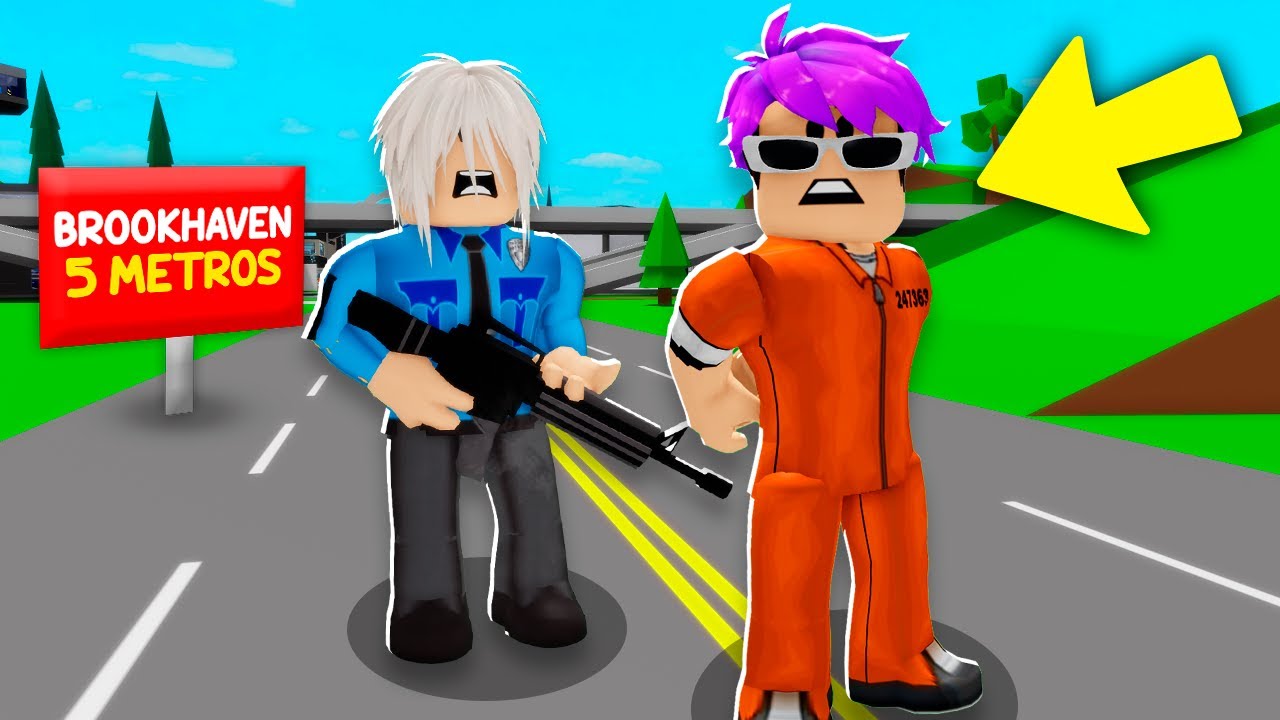 FUI DEPORTADO do BROOKHAVEN RP..