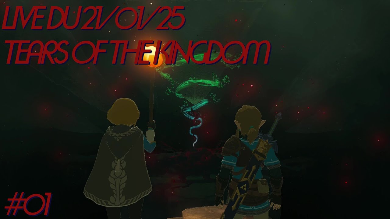 VOD #01 - C'est du propre ! - The Legend of Zelda Tears of the Kingdom - 21/01/25