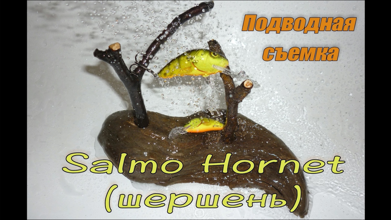 Salmo Hornet (Шершень) Уловистый кренк Подводная съемка