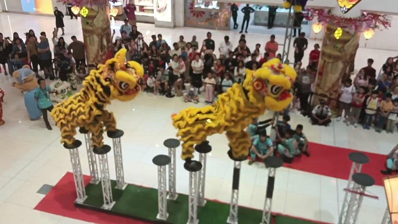 Lion Dance 2026(20)