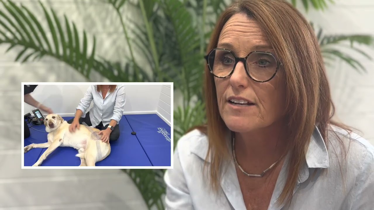 Canine Underwater Treadmill