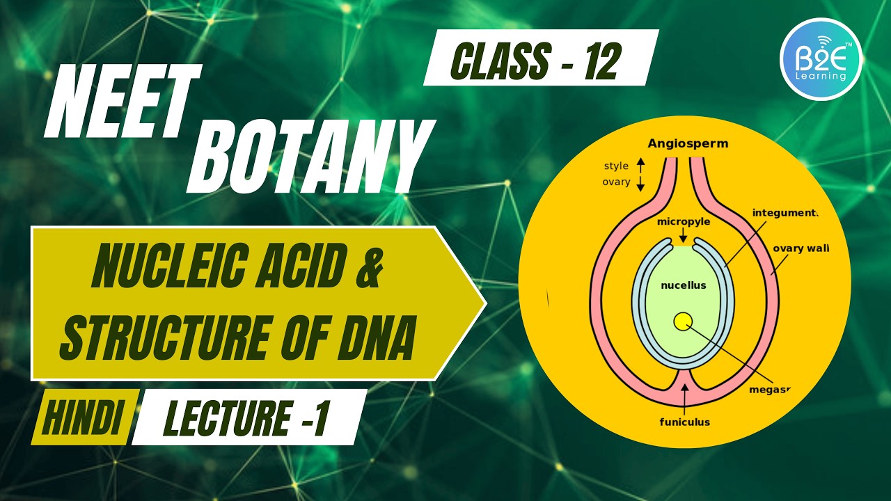 न्यूक्लिक अम्ल व DNA की संरचना | Lecture 1 | MBI | Class 12 Biology (Hindi) | NEET | B2E Learning