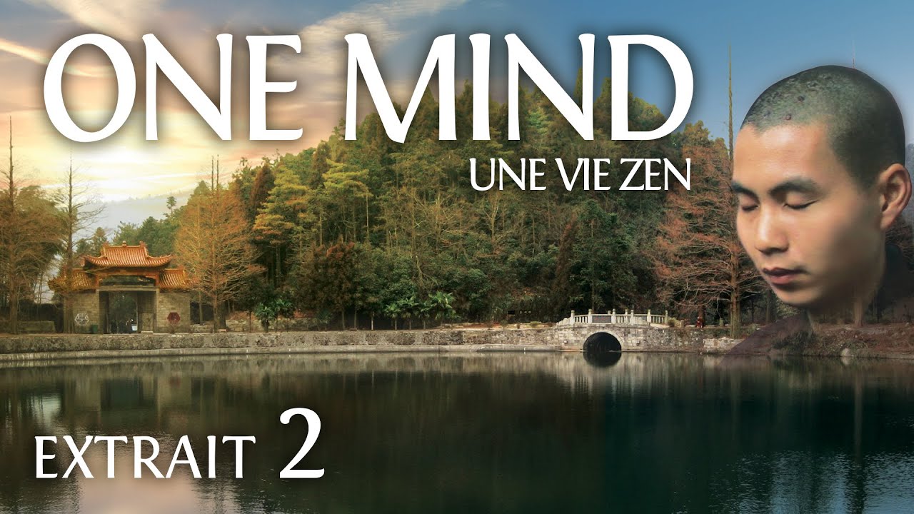 One Mind : Une Vie Zen // Extrait 2 : le bœuf égaré // VOST
