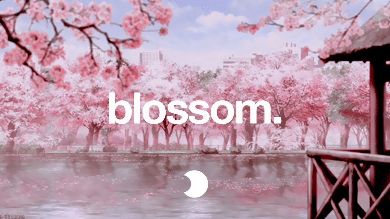 Blossom | Lofi HipHop