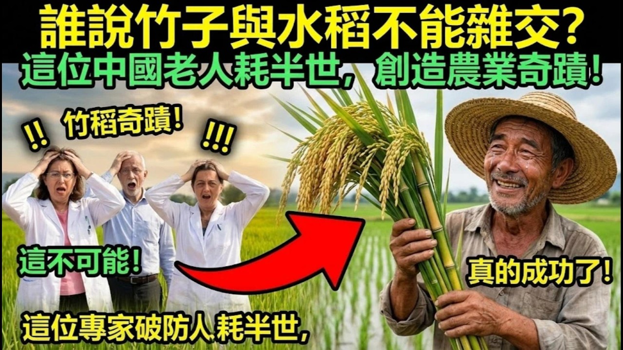 誰說竹子與水稻不能雜交？這位中國老人耗半世，創造農業奇蹟！