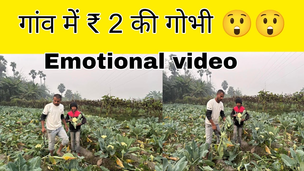 गांव में ₹ 2 की गोभी 😲😲 | Anand Kashyap | village Vlogs