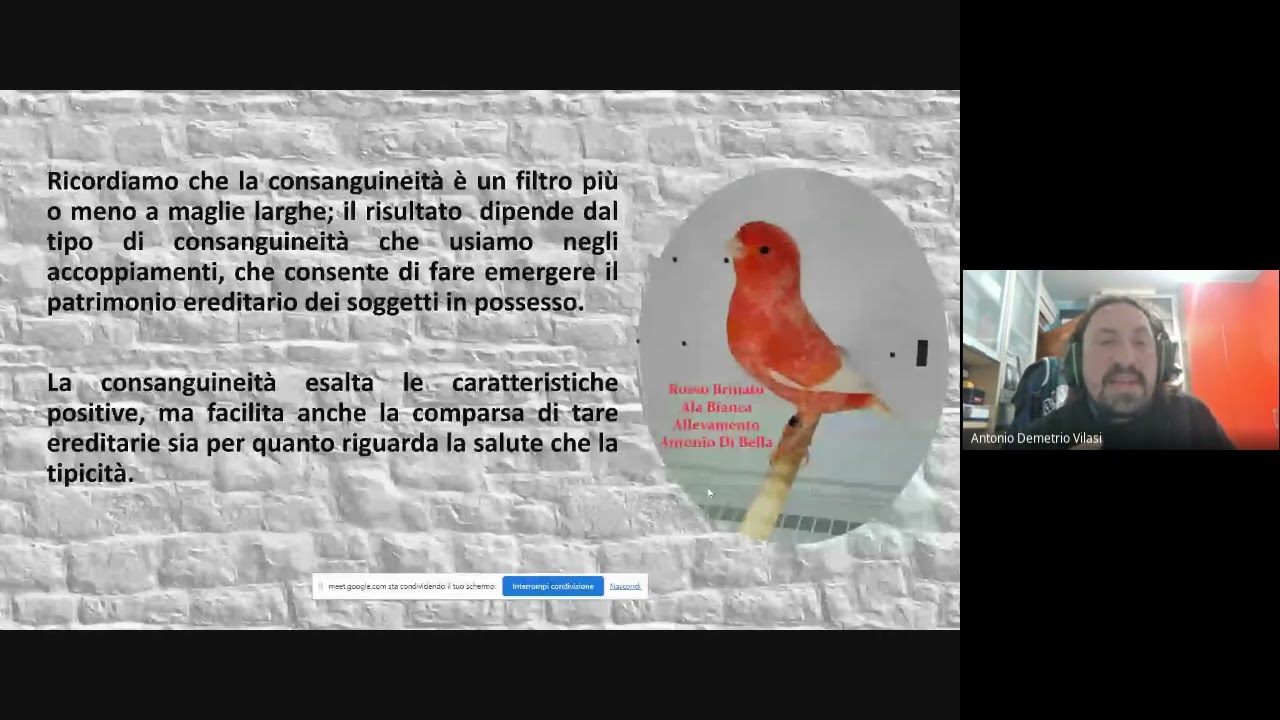 Come poter dare vita ad un ceppo parte prima!!!
