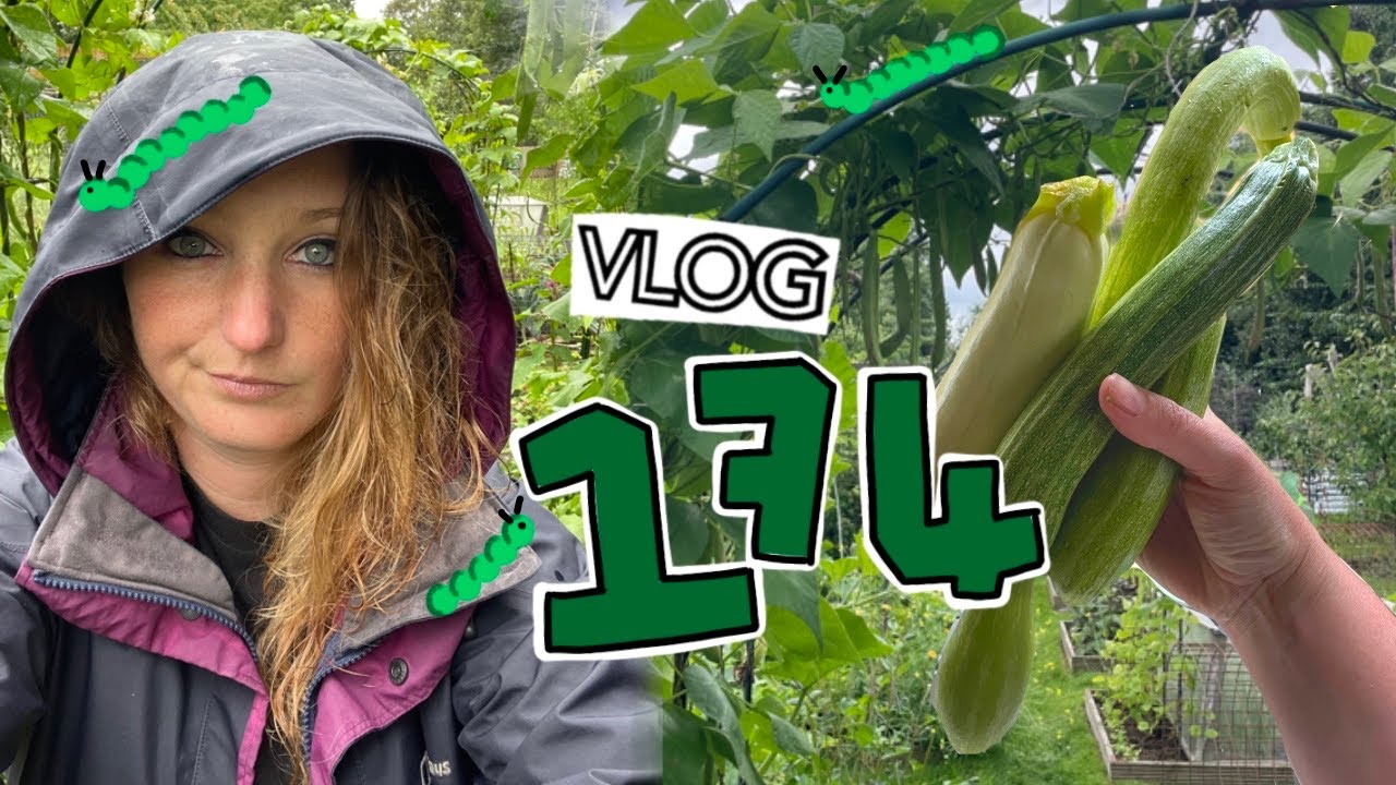 Caterpillars and Courgettes, too many of both!! Ep174 || Plot 37