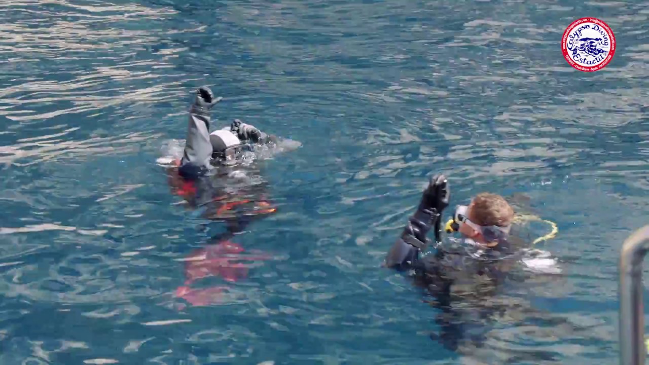 Calypso Diving Estartit