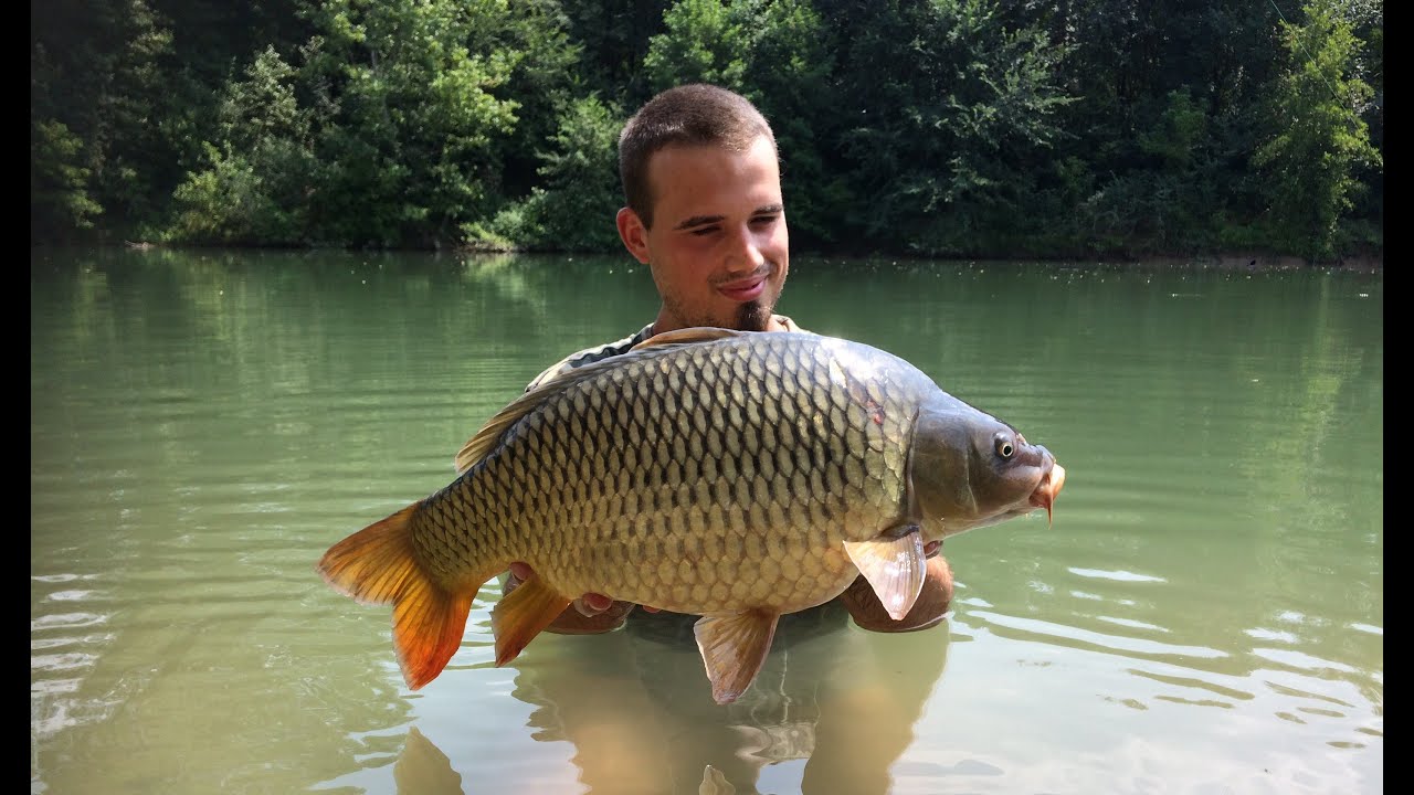 Fishing Freedom 2019 - Dove tutto ha inizio - Carpfishing Veneto, Italia