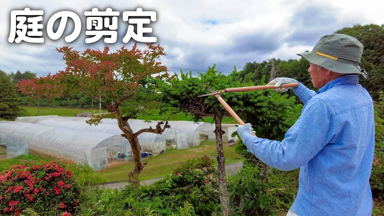 【田舎暮らし】庭の剪定をしました！【山口県】【vlog】