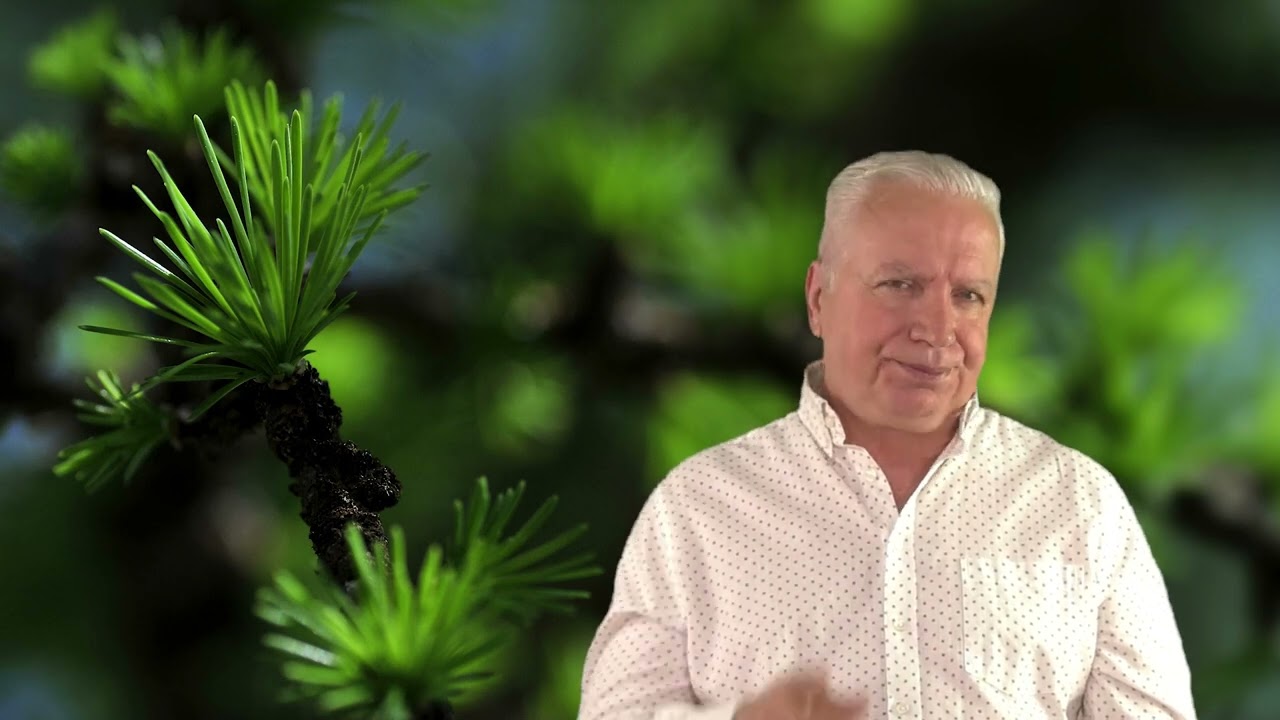 Neprestať veriť sebe, aj keď ťa nazvú bláznom