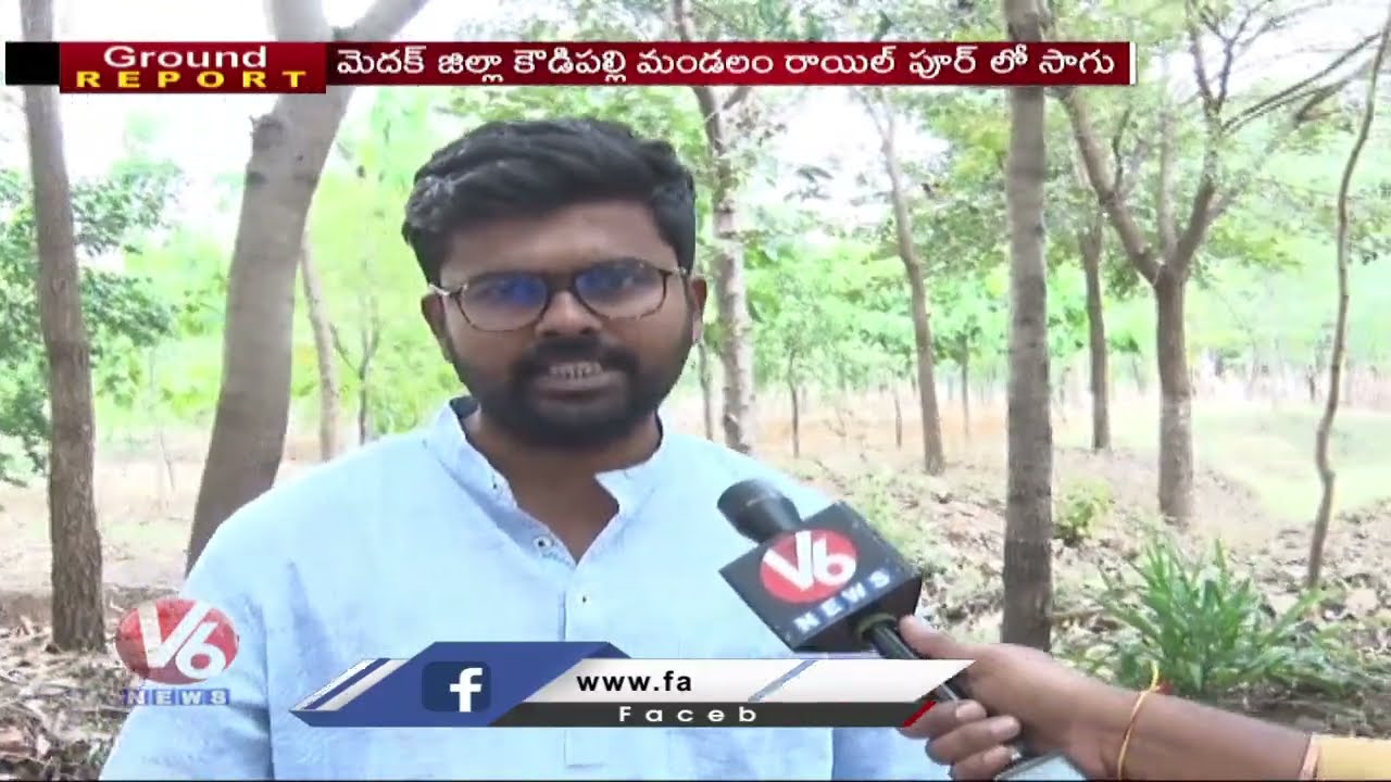 Ground Report On Australian Teak Cultivation In Telangana | V6 News