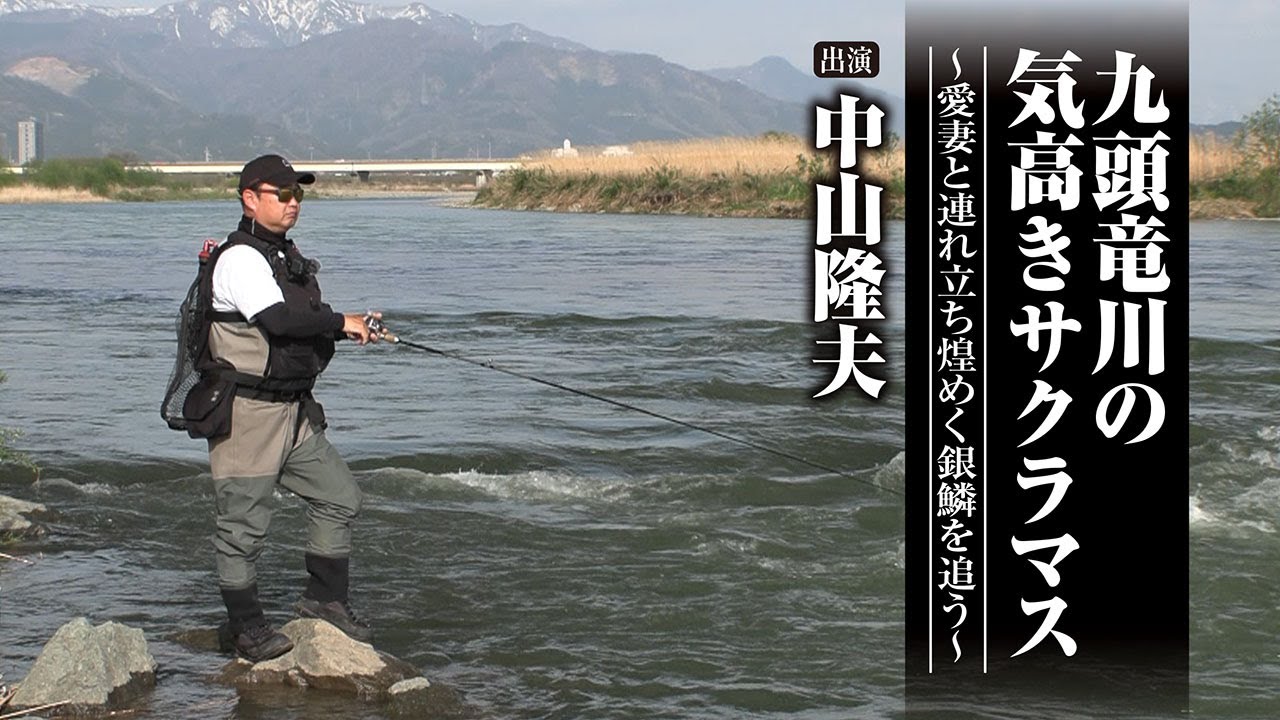 #671 九頭竜川の気高きサクラマス～愛妻と連れ立ち煌めく銀鱗を追う～