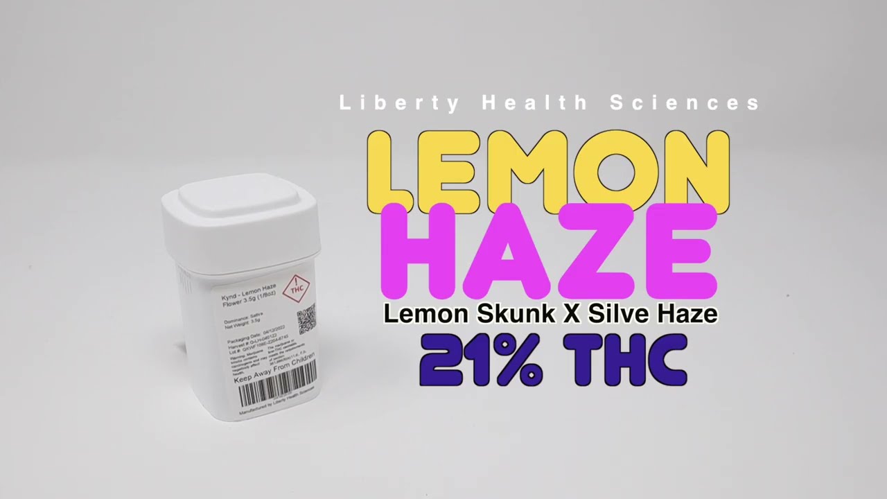 LEMON HAZE UNBOXING!! - 21%THC - FL MEDICAL TREES (Lemon skunk X Sil. Haze)