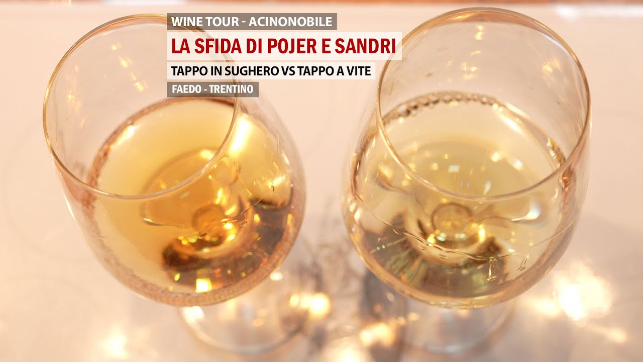 Pojer e Sandri | Müller Thurgau Palai | Sfida di Tappi: Sughero vs Vite