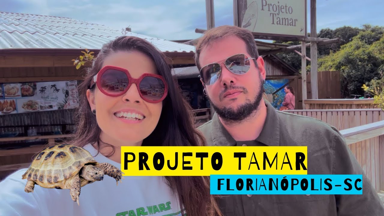 Projeto Tamar em Florianópolis-SC: o que é o projeto? Vale a pena visitar?