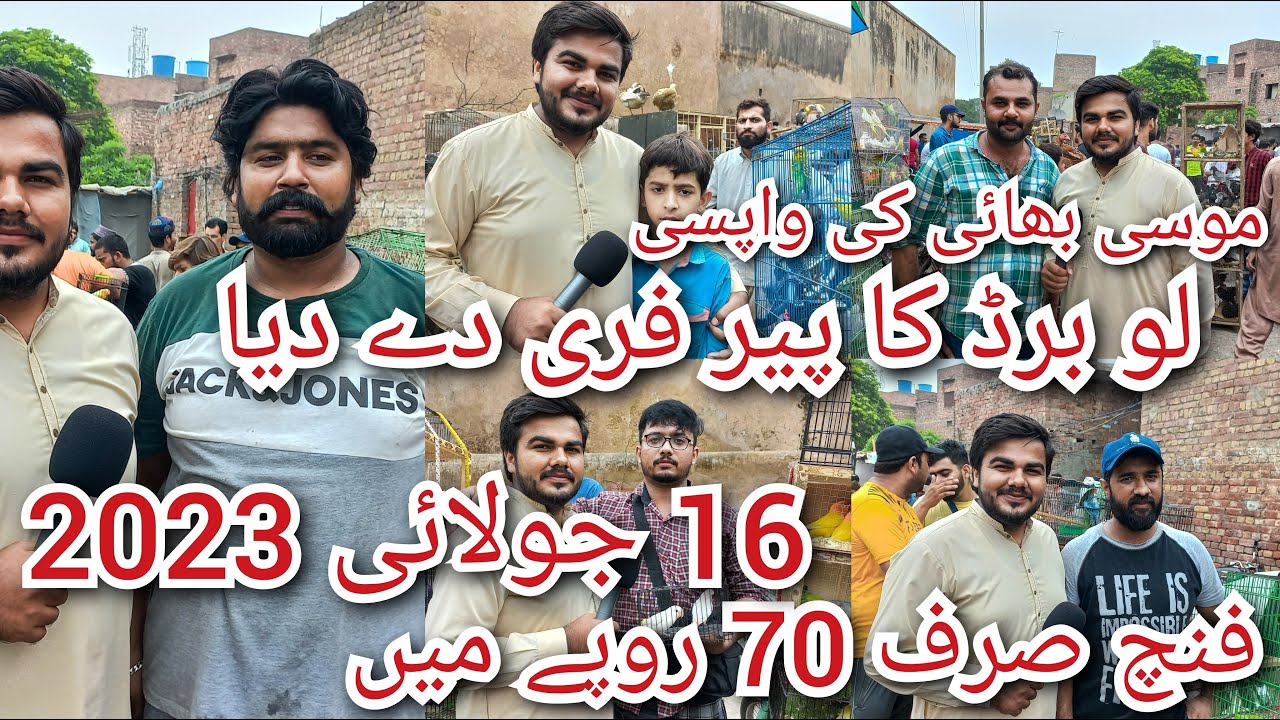 Sunday Birds Market | Latest Price Update | Sunday Bird Market Lahore