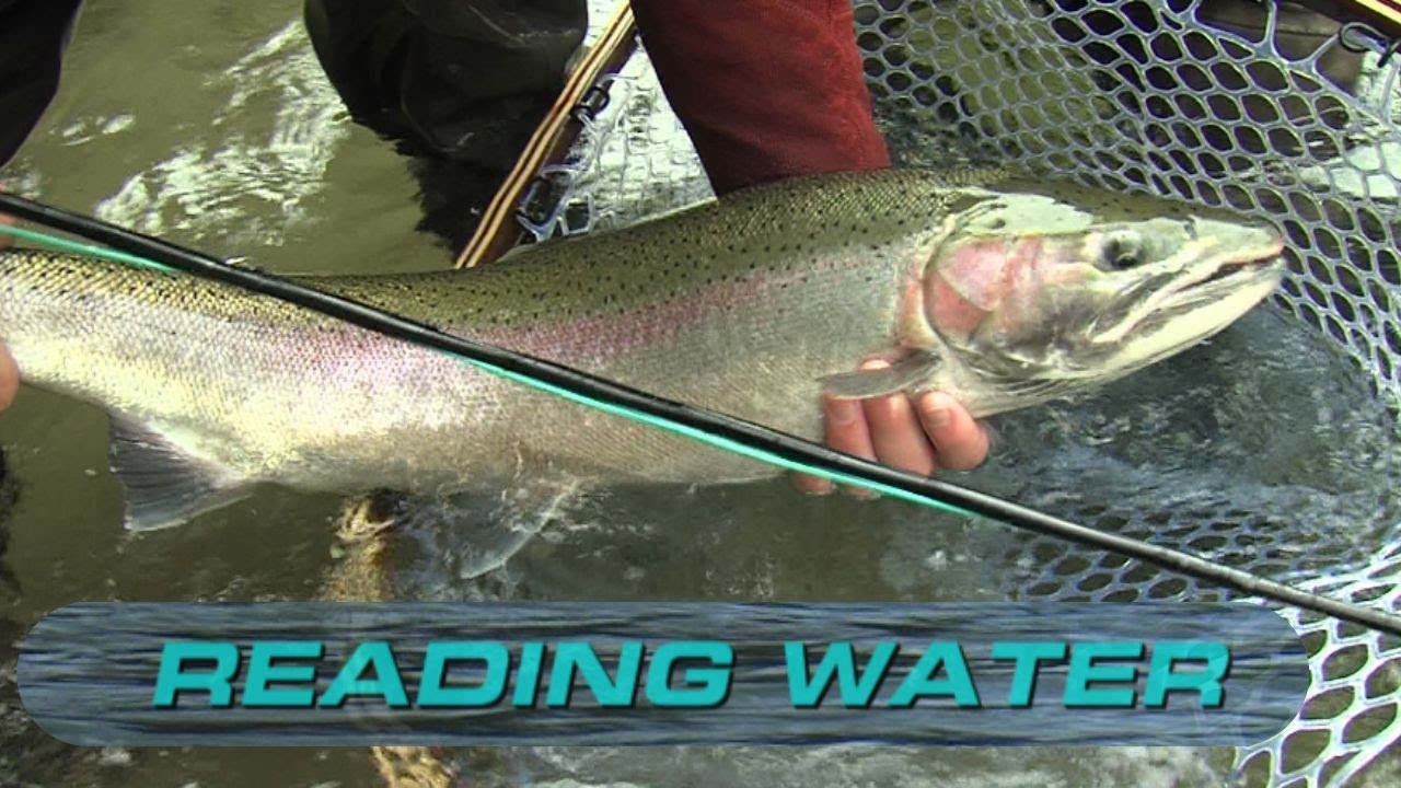 Can't Catch Steelhead if you Can't Find Them. Reading Water lessons from three Professional Anglers