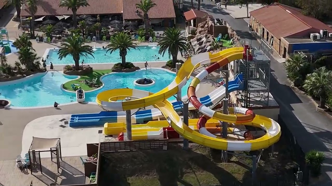 Die französischen Kurzschwanzschwalben auf Cala Gogo in St. Cyprien