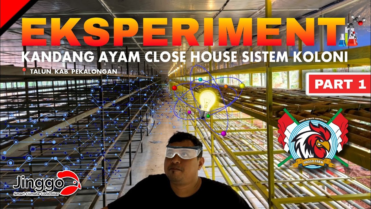 PART 1 Kandang Ayam Close House Sistem Koloni Eksperimen Ekslusif di Talun Kab. Pekalongan MANTAB !!