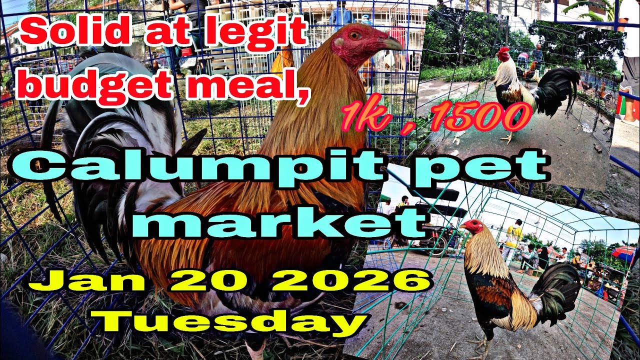 Solid at legit budget meal 1k , 1500 Calumpit pet market Jan 20 2026 Tuesday .