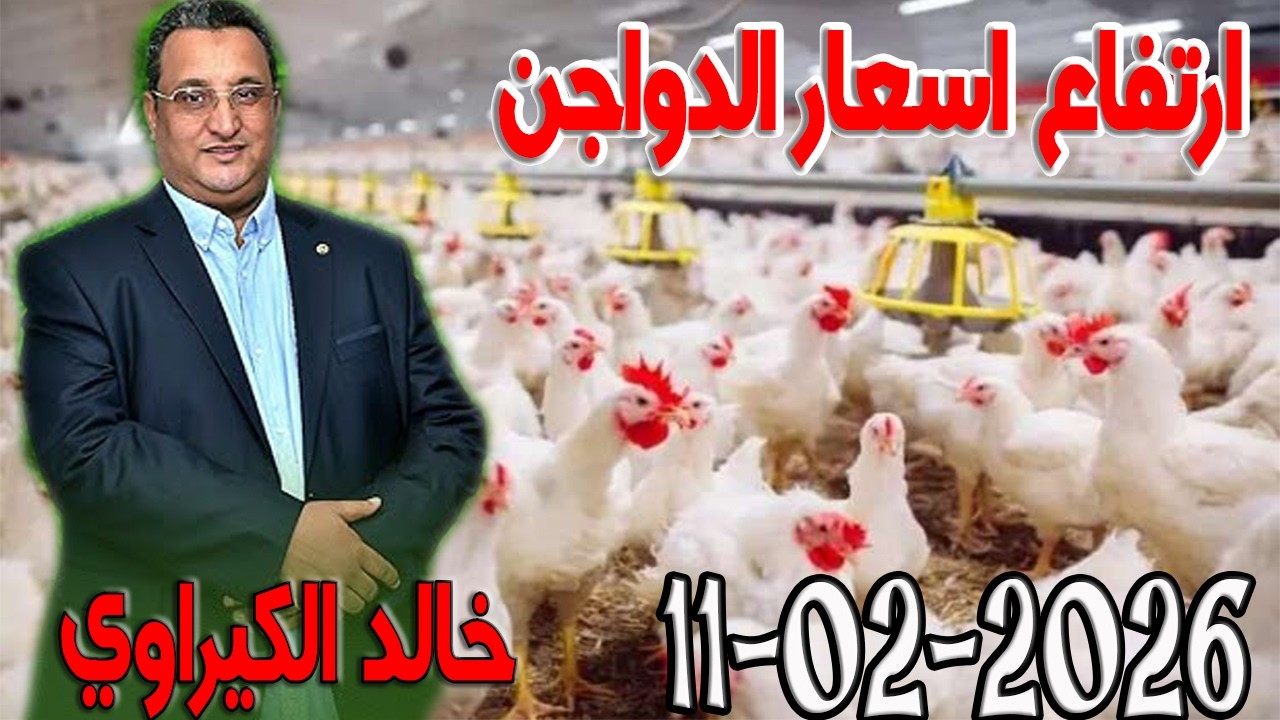 ارتفاع اسعار الدواجن وصل صوتك شكاية المواطنين مع خالد الكيراوي  اسرار القانون المغربي  2026 02 11
