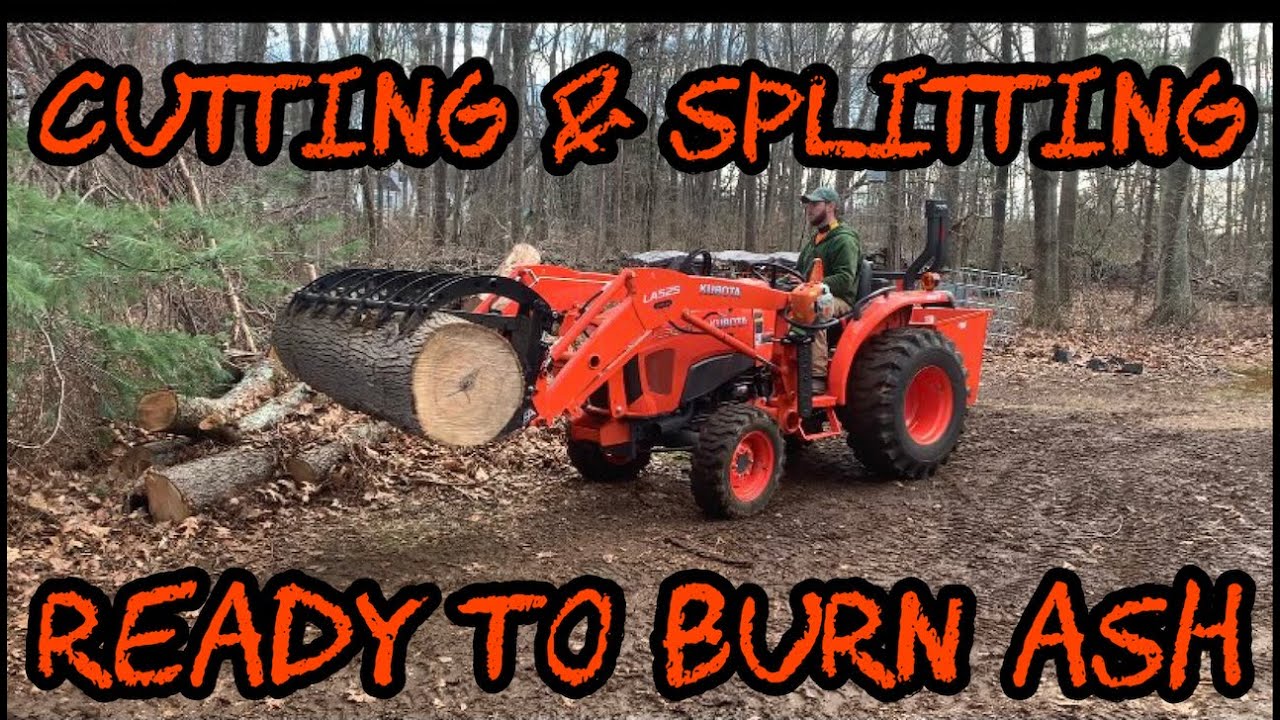 #49 Cutting and Splitting Ready to Burn Ash Firewood