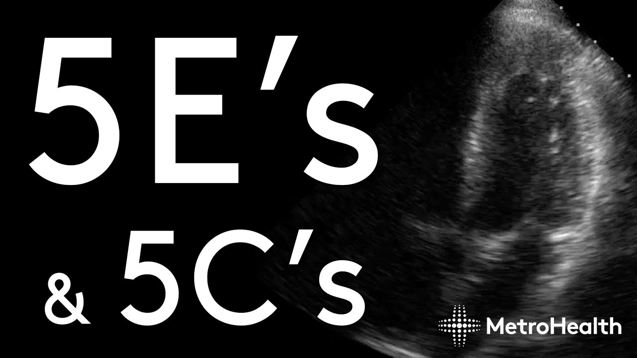 How to Approach Bedside Cardiac ECHO