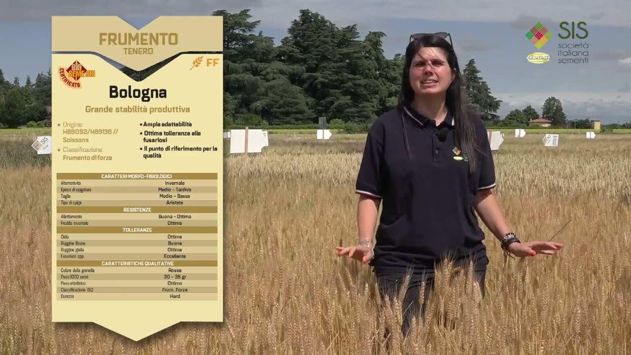 SISpiega, S1:E1 “Bologna”