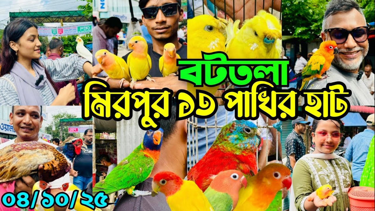 অসম্ভব রকম জমজমাট বটতলা পাখির হাট | Mirpur 13 Pakhir Hat | Bottola Pakhir Hat #viral