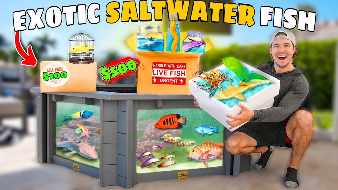 $100 vs $500 SEA CREATURE Mystery FISH Box For My SALTWATER PONDS! (shopping spree)