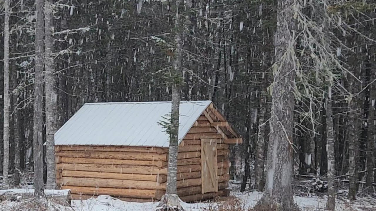 Building a Log Cabin With the Trees On Our Land-Start to Finish