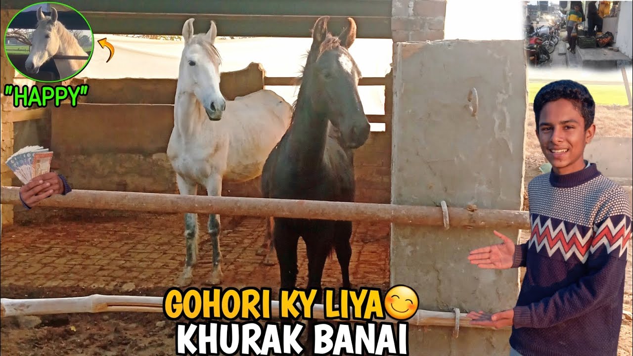 GOHORI KY LIYA😊KHURAK BANAI & Abdul Wahab vlogs 
