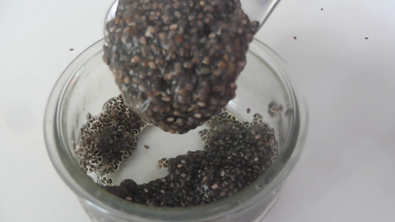 Chia para aves, es tan beneficiosa?
